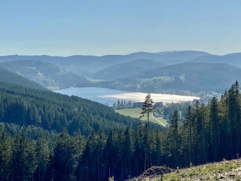 Hotel Zartenbach B&B Hinterzarten Eksteriør billede