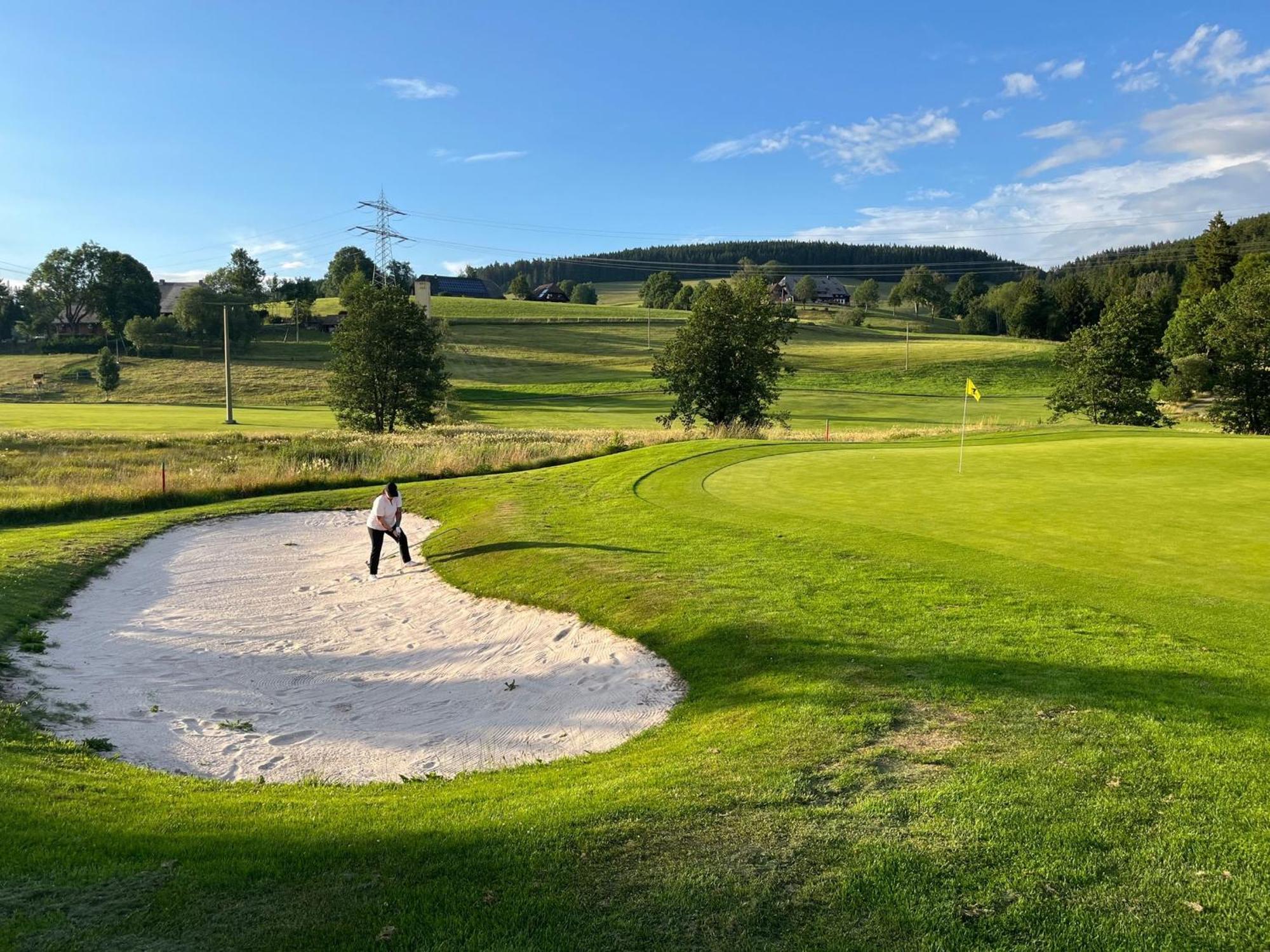 Hotel Zartenbach B&B Hinterzarten Eksteriør billede